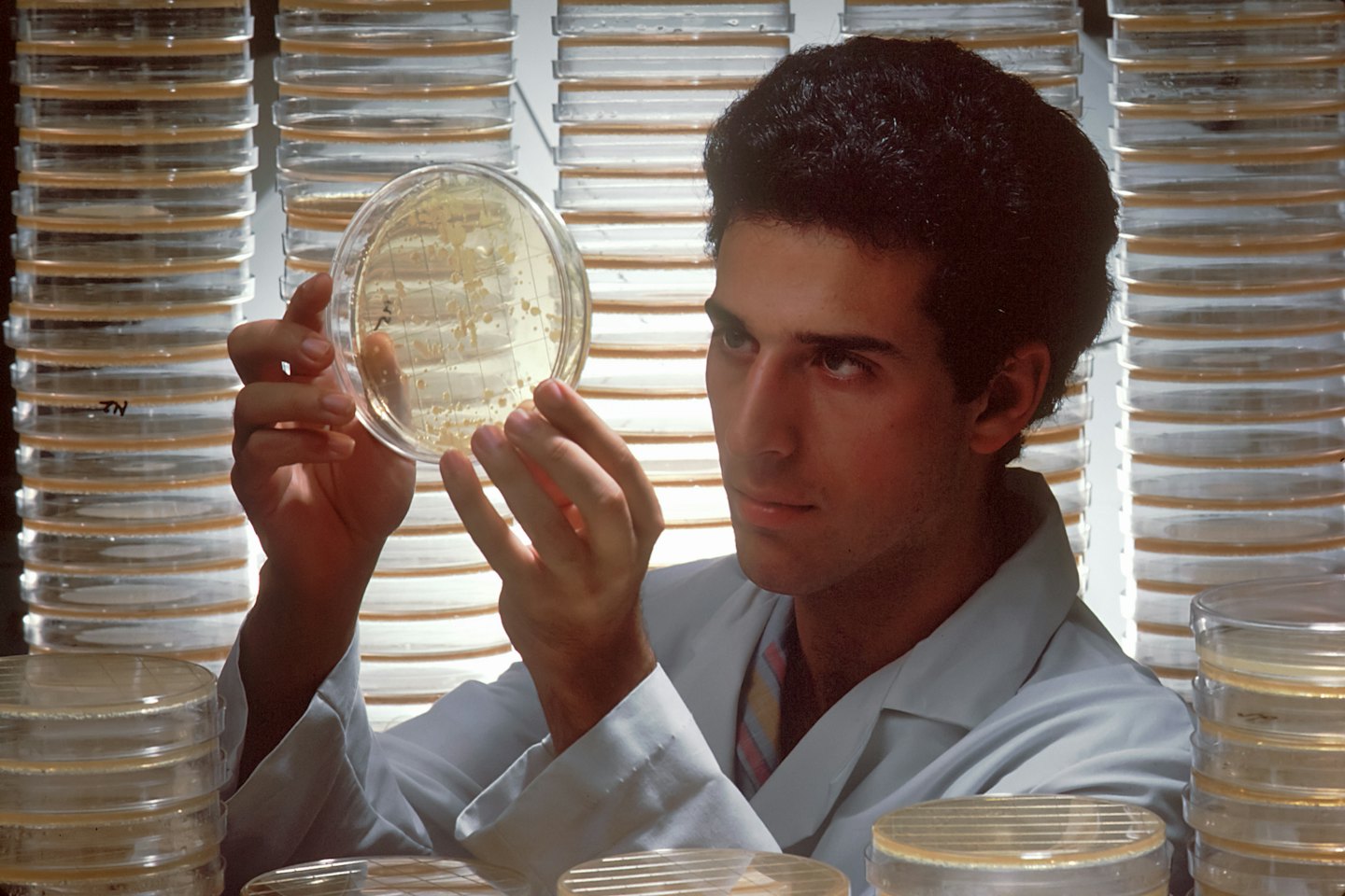 Hombre con bata de laboratorio examina placa de Petri con crecimiento bacteriano.